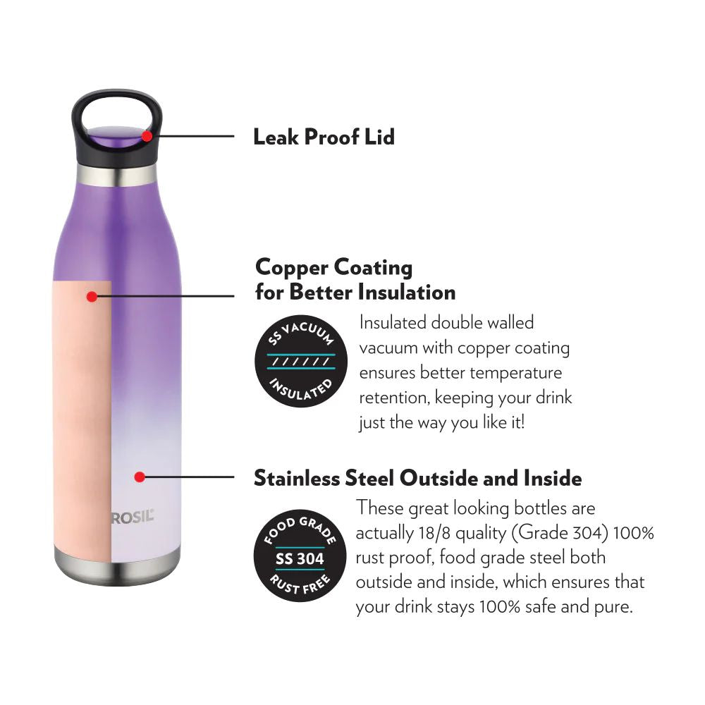 Borosil Stainless Seel Hydra ColourCrush 700 ML Vacuum Insulated Water Bottle | Violet | 1 Pc