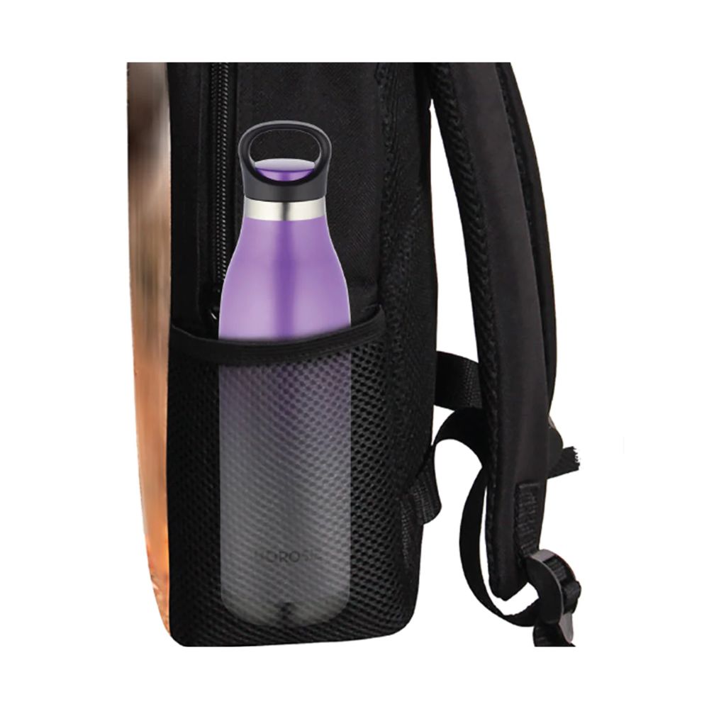 Borosil Stainless Seel Hydra ColourCrush 700 ML Vacuum Insulated Water Bottle | Violet | 1 Pc