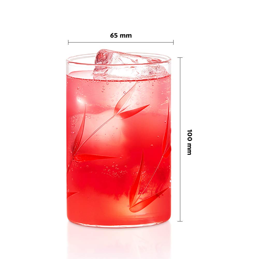 Borosil Bouquet Vision Drinking Glass 295 ml |Transparent | Set of 6 pcs
