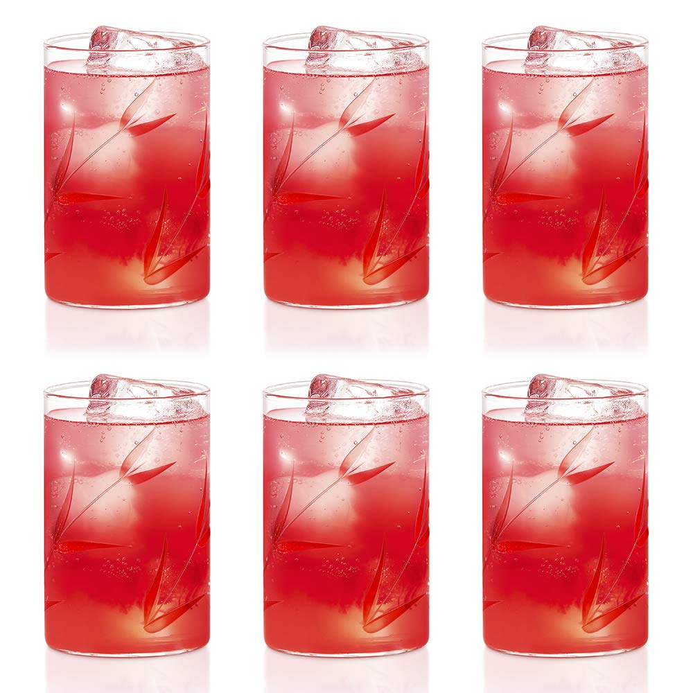 Borosil Bouquet Vision Drinking Glass 295 ml |Transparent | Set of 6 pcs