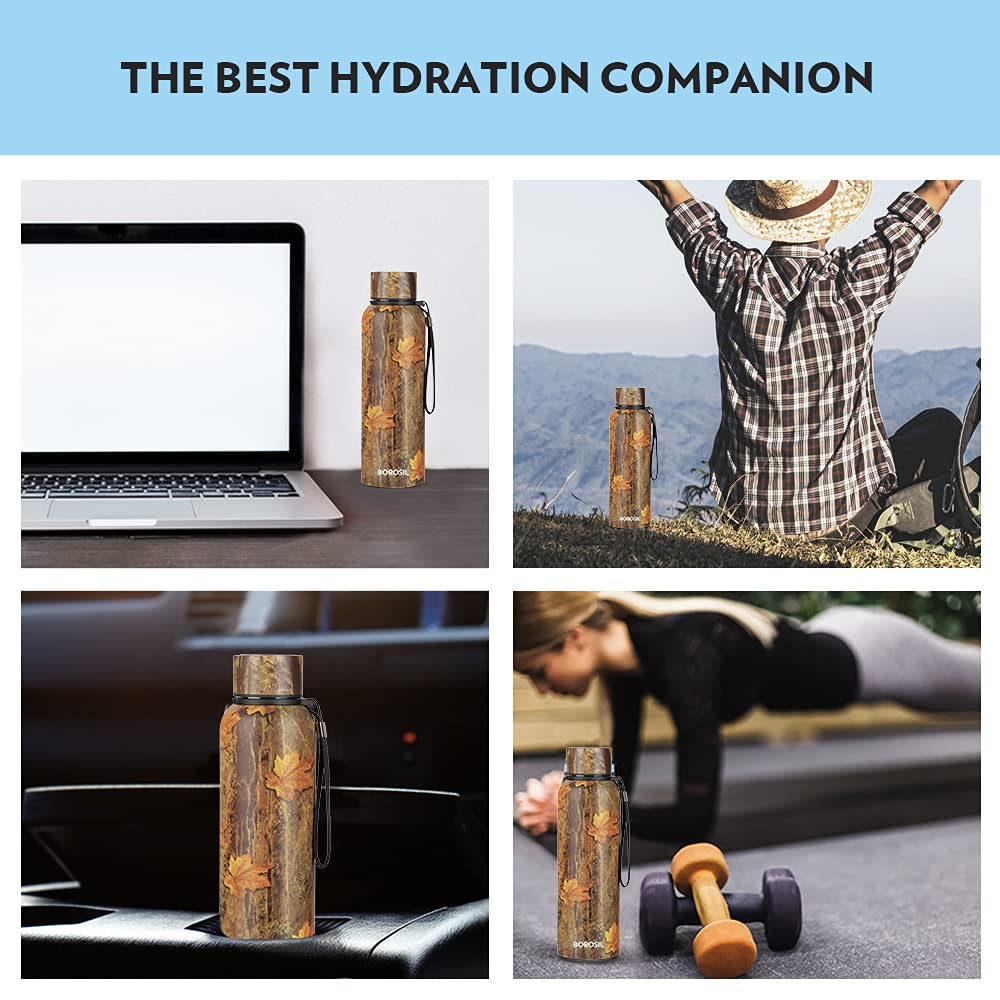 Borosil Trek Maple 700 ML Stainless Steel Water Bottle | 1 Pc