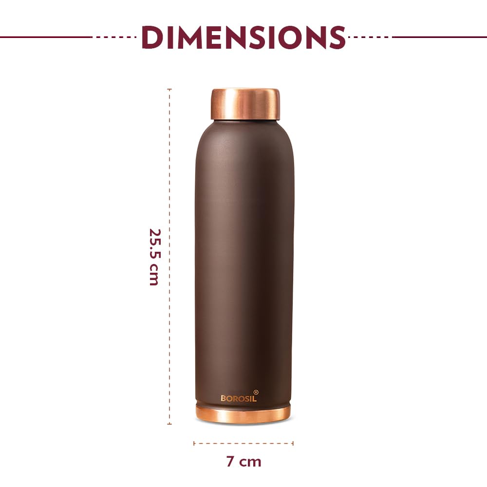 Borosil Eco 1000 ML Powder Coated Matte Finish Copper Bottle | 1 Pc
