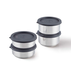 Borosil Carryfresh 4 Containers Stainless Steel Insulated Lunch Box